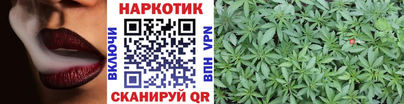 Где найти наркотики Долгопрудный Гашиш A-PVP МЕФ Галлюциногенные грибы МАРИХУАНА