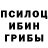 Псилоцибиновые грибы ЛСД Linda Toribio