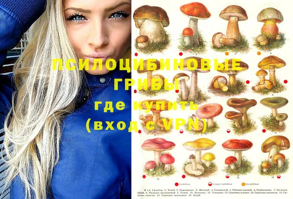 Альфа ПВП Армянск