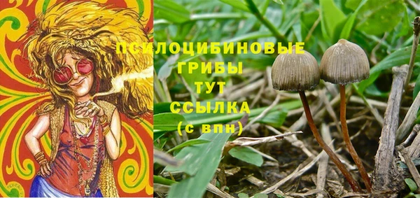 мескалин Аркадак