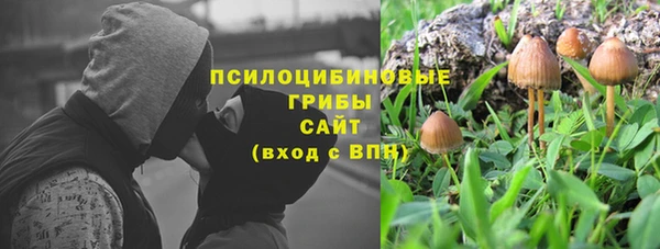 Альфа ПВП Армянск